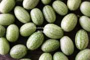 メキシカンサワーガーキン/きゅうりメロン/マイクロきゅうり/Cucamelon メキシカンサワーガーキン、きゅうりメロン/マイクロきゅうり,Cucamelon,mouse melon,Mexican sour gherkin