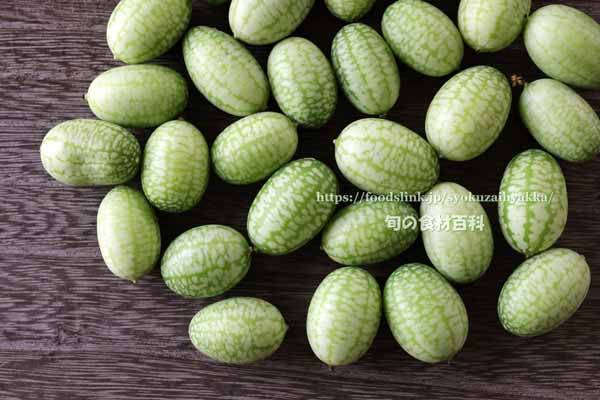 メキシカンサワーガーキン/きゅうりメロン/マイクロきゅうり/Cucamelon メキシカンサワーガーキン、きゅうりメロン/マイクロきゅうり,Cucamelon,mouse melon,Mexican sour gherkin