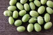 メキシカンサワーガーキン/きゅうりメロン/マイクロきゅうり/Cucamelon メキシカンサワーガーキン、きゅうりメロン/マイクロきゅうり,Cucamelon,mouse melon,Mexican sour gherkin