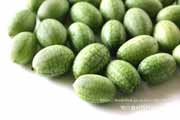 メキシカンサワーガーキン/きゅうりメロン/マイクロきゅうり/Cucamelon メキシカンサワーガーキン、きゅうりメロン/マイクロきゅうり,Cucamelon,mouse melon,Mexican sour gherkin