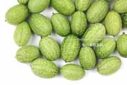 メキシカンサワーガーキン/きゅうりメロン/マイクロきゅうり/Cucamelon メキシカンサワーガーキン、きゅうりメロン/マイクロきゅうり,Cucamelon,mouse melon,Mexican sour gherkin