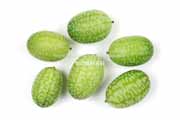 メキシカンサワーガーキン/きゅうりメロン/マイクロきゅうり/Cucamelon メキシカンサワーガーキン、きゅうりメロン/マイクロきゅうり,Cucamelon,mouse melon,Mexican sour gherkin