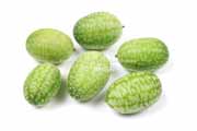 メキシカンサワーガーキン/きゅうりメロン/マイクロきゅうり/Cucamelon メキシカンサワーガーキン、きゅうりメロン/マイクロきゅうり,Cucamelon,mouse melon,Mexican sour gherkin
