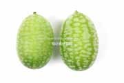 メキシカンサワーガーキン/きゅうりメロン/マイクロきゅうり/Cucamelon メキシカンサワーガーキン、きゅうりメロン/マイクロきゅうり,Cucamelon,mouse melon,Mexican sour gherkin