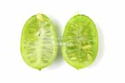メキシカンサワーガーキン/きゅうりメロン/マイクロきゅうり/Cucamelon メキシカンサワーガーキン、きゅうりメロン/マイクロきゅうり,Cucamelon,mouse melon,Mexican sour gherkin