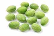 メキシカンサワーガーキン/きゅうりメロン/マイクロきゅうり/Cucamelon メキシカンサワーガーキン、きゅうりメロン/マイクロきゅうり,Cucamelon,mouse melon,Mexican sour gherkin