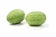 メキシカンサワーガーキン/きゅうりメロン/マイクロきゅうり/Cucamelon メキシカンサワーガーキン、きゅうりメロン/マイクロきゅうり,Cucamelon,mouse melon,Mexican sour gherkin