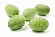 メキシカンサワーガーキン/きゅうりメロン/マイクロきゅうり/Cucamelon メキシカンサワーガーキン、きゅうりメロン/マイクロきゅうり,Cucamelon,mouse melon,Mexican sour gherkin