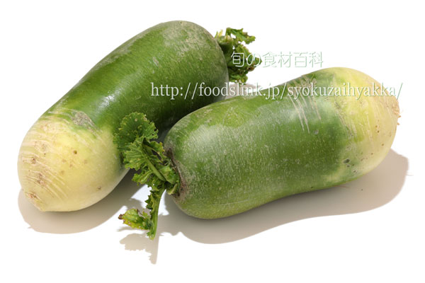 青大根(アオダイコン)