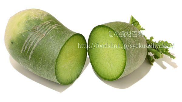 青長大根／ビタミン大根／青大根（アオダイコン）類