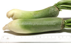 青長大根/ビタミン大根/青大根(アオダイコン)類
