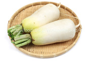 信州の伝統野菜　ねずみ大根／辛味大根／ネズミダイコン