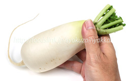 信州の伝統野菜　ねずみ大根／辛味大根／ネズミダイコン