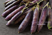 ツタンカーメンのエンドウ豆／紫えんどう