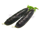 ツタンカーメンのエンドウ豆（古代エンドウ豆）の黒々としたサヤ