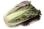 紫白菜／紫奏子（むらさきそうし）,白菜,ハクサイ