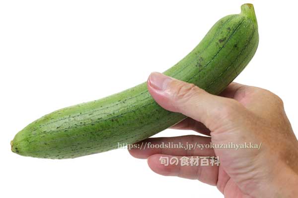 ナーベラー(食用ヘチマ) ナーベラー(食用ヘチマ)