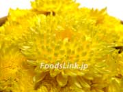 黄色い阿房宮系の食用菊