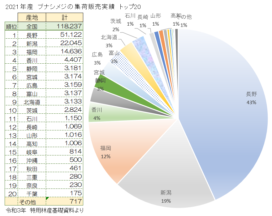 全国のブナシメジの集荷販売実績2021