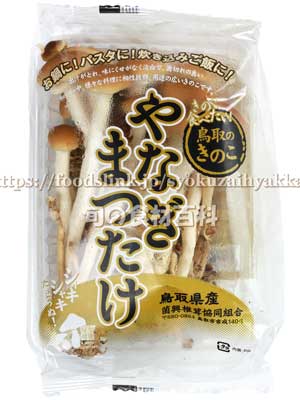 ヤナギマツタケ
