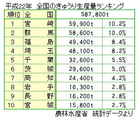 キュウリの主な産地と生産量トップ10