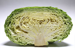 寒玉キャベツ
