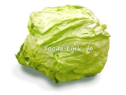 春玉 春キャベツ