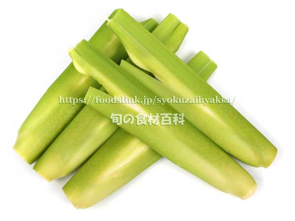 マコモダケ(真菰筍) マコモダケ 真菰筍 まこもだけ