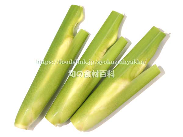 マコモダケ(真菰筍) マコモダケ 真菰筍 まこもだけ