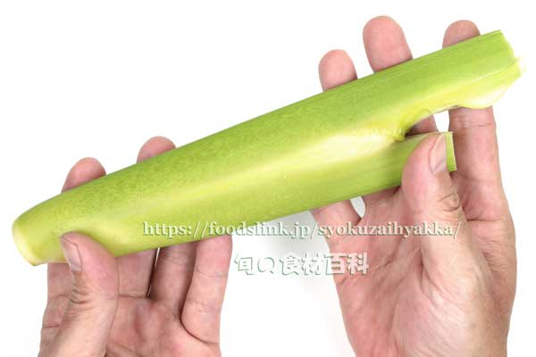 マコモダケ(真菰筍) マコモダケ 真菰筍 まこもだけ