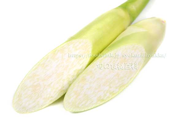 マコモダケ(真菰筍)の断面 マコモダケ 真菰筍 まこもだけ