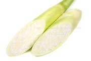 マコモダケ(真菰筍) マコモダケ 真菰筍 まこもだけ