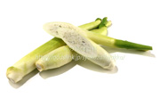 マコモダケ(真菰筍) マコモダケ 真菰筍 まこもだけ