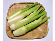 マコモダケ(真菰筍) マコモダケ 真菰筍 まこもだけ
