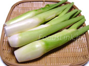 マコモダケ(真菰筍) マコモダケ 真菰筍 まこもだけ
