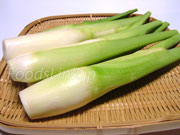 マコモダケ(真菰筍) マコモダケ 真菰筍 まこもだけ