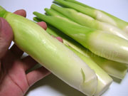 マコモダケ(真菰筍) マコモダケ 真菰筍 まこもだけ