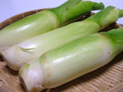 マコモダケ(真菰筍) マコモダケ 真菰筍 まこもだけ