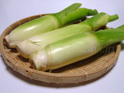 マコモダケ(真菰筍) マコモダケ 真菰筍 まこもだけ