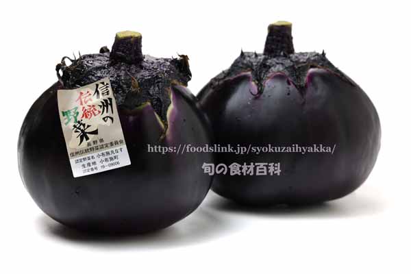 小布施丸なす 信州の伝統野菜 小布施丸なす 信州の伝統野菜