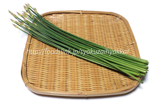 花ニラ 四万十の蕾 花ニラ(はなにら/花韮)