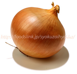 玉葱