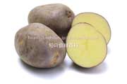 紫月（しづき）の断面,ジャガイモ,馬鈴薯