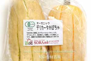 デリカータ・スカッシュ（Delicata Squash）