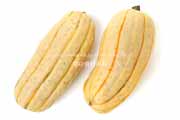 デリカータ・スカッシュ（Delicata Squash）