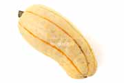 デリカータ・スカッシュ（Delicata Squash）