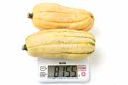 デリカータ・スカッシュ（Delicata Squash）