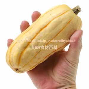 デリカータ・スカッシュ（Delicata Squash）