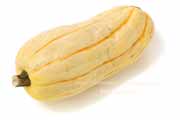 デリカータ・スカッシュ（Delicata Squash）