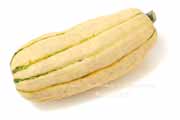 デリカータ・スカッシュ（Delicata Squash）